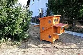 domk dla kotów