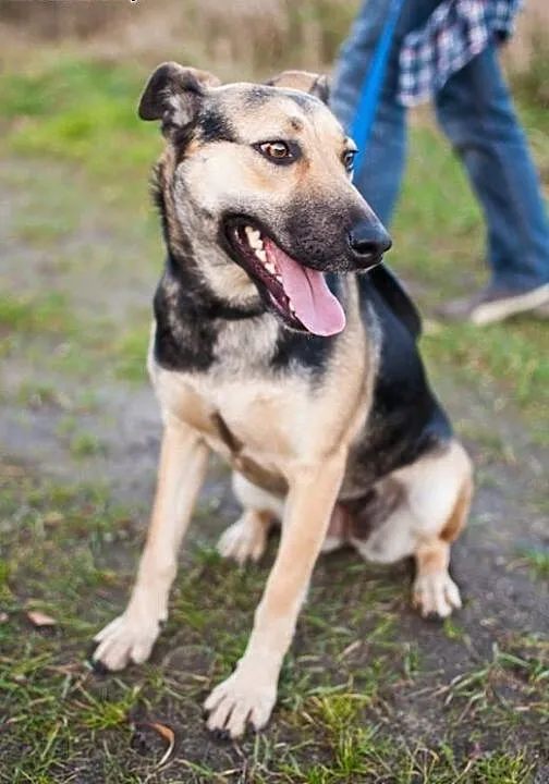 Dosia, która po raz drugi wróciła z adopcji... Kto