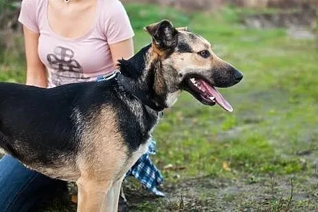 Dosia, która po raz drugi wróciła z adopcji... Kto