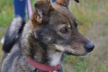 Miki - malutki,grzeczny, ale bardzo samotny okrusz