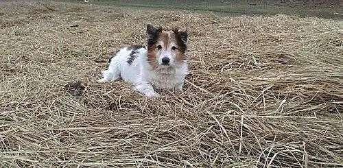 Leon.Niektórzy pojawiają się na parę dni..., kuja