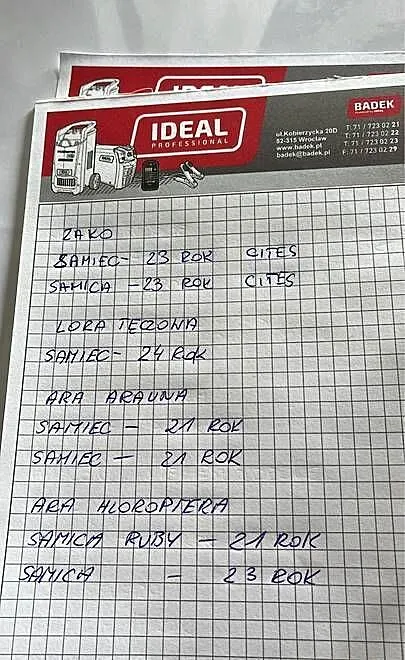 Likwidacja papug, Wielkopolskie, Gostyń