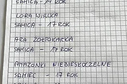 Likwidacja papug, Wielkopolskie, Gostyń