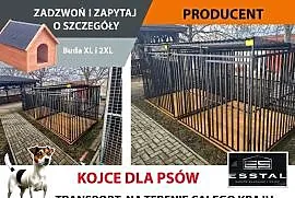 B152 Kojec dla Psa 4x2 - Różne wymiary - Szybka Dostawa | KOJCE | - ESSTAL