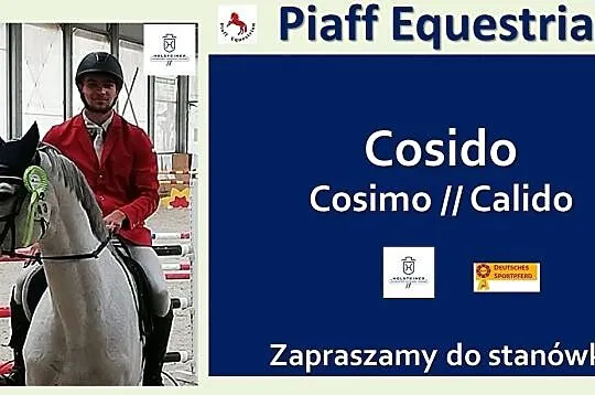 STANÓWKA 2021 PIAFF EQUESTRIAN – OGIER HOLSZTYŃSKI, Reńska