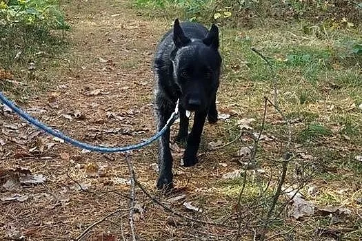 Uratuj Grincza...,  warmińsko-mazurskie Olsztyn, Olsztyn