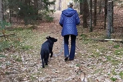 Uratuj Grincza...,  warmińsko-mazurskie Olsztyn, Warmińsko-mazurskie, Olsztyn