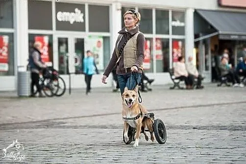 TOFFIK - optymizm pełnym pyszczkiem :D Pokochaj śc