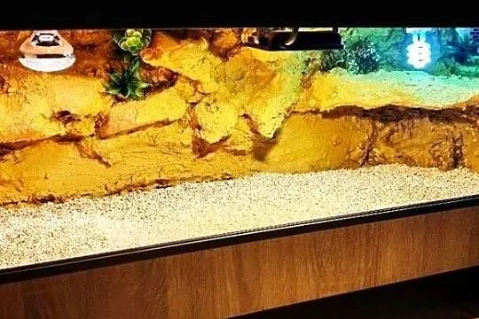 Terrarium pustynne dla agamy brodatej gekona lamparciego