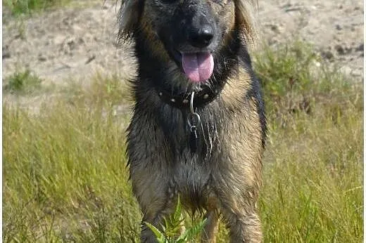 Roczna AKWA czeka na troskliwych opiekunów,  mazow