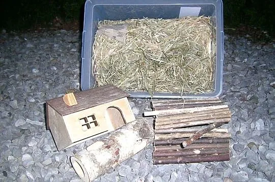 Klatka dla chomika duża, akcesoria, Podkarpackie, Czarna
