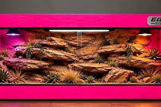 Okazja terrarium dla agamy brodatej gekona lamparciego