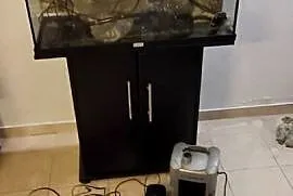 Akwarium Juwel Rio 125L