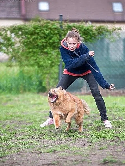 BURSZTYN bystry,aktywny mega pozytywny, śląskie K