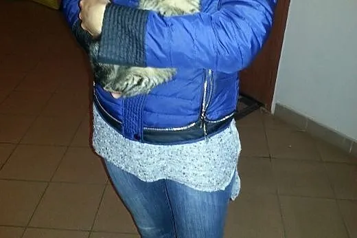 Miziasta Szarunia szuka kochającego domu,  dolnośl