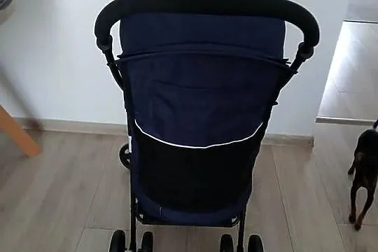 Sprzedam wózek dla psa, Łódzkie, Pajęczno
