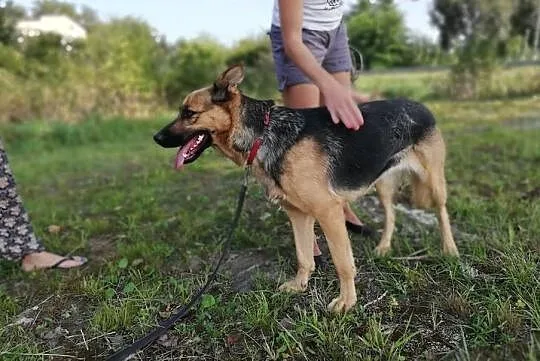 Młoda i wesoła - radość sieje dookoła. Ciri!, Mazowieckie, Warszawa