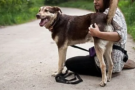 Czoko porzucony po raz drugi, szuka najlepszego do