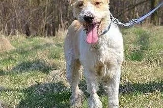MILO- uroczy, radosny, przyjazny- wszystko czego p