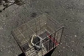 Klatka na chomika lub ptaszka sprzedam