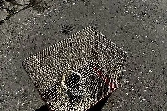 Klatka na chomika lub ptaszka sprzedam