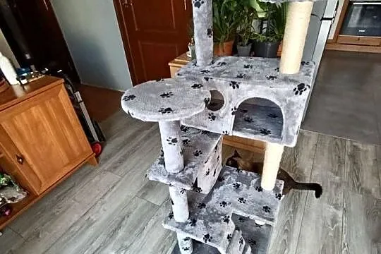 drapak dla kota mega pilnie sprzedam