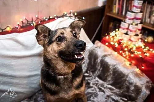Męczy Cię pustka? FILIP to Twoja trafiona szóstka!
