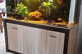 Akwarium 450l