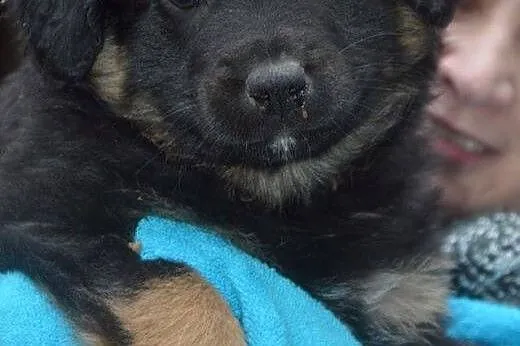 KOMU?! komu ?! Apetyczny 7-tyg KĄSEK chce do DOMU 