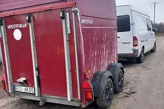 Transport koni ogiery, klacze, źrebaki cała Polska Zagranica