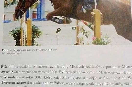 KLACZ ZANGERSHEIDE 2019 (Hippica Koh I Noor/KANNAN x Rommel), , Przyłęk