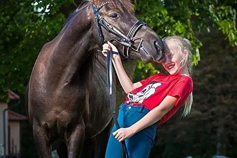 Kuc C grupowy dla ambitnego jeźdźca, Wielkopolskie, Złotów
