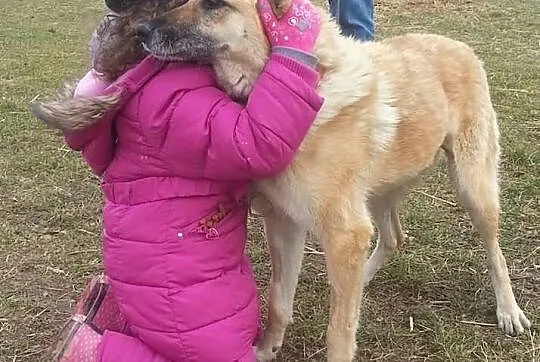 KORA psyjaciółka na lata! URATUJ! ADOPTUJ!