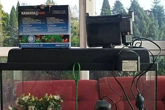 akwarjum dla rybek z dodatkami