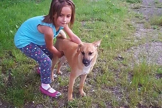 Rokuś szuka domu!,  dolnośląskie Jelenia Góra