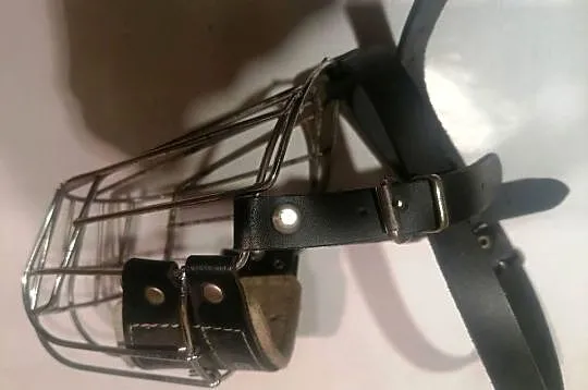 kaganiec metalowy dla psa regulowany
