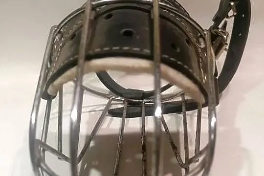 kaganiec metalowy dla psa regulowany, Łódzkie, Piotrków Trybunalski