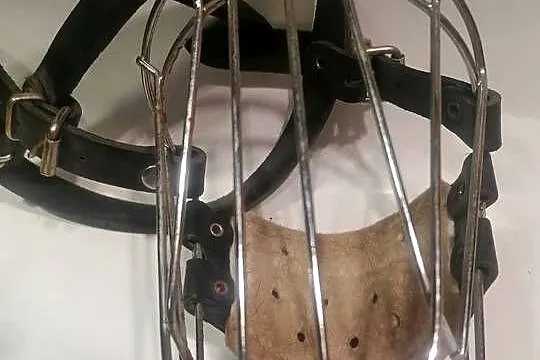 kaganiec metalowy dla psa regulowany, Łódzkie, Piotrków Trybunalski