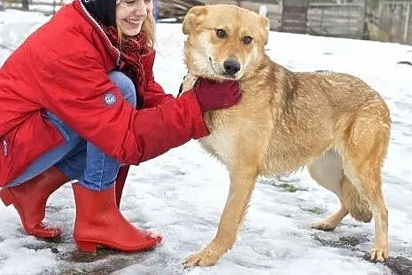 Pyszna -przekochana góra futra do głaskania:),  ma