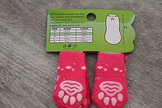 Skarpetki dla psa, Wielkopolskie, Gostyń