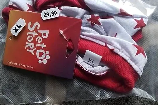 Majtki dla suczki na cieczkę., Śląskie, Katowice