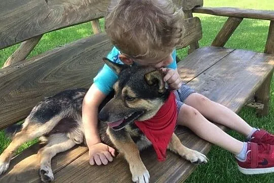 Maleńki, kochany Tuptuś do adopcji!, Mazowieckie, Warszawa