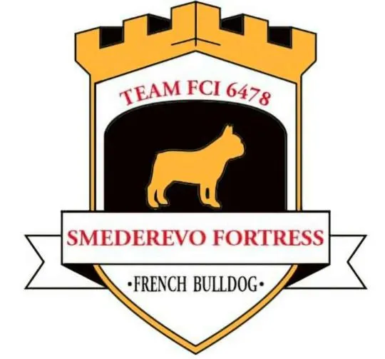 Buldog francuski piękne szczenięta na sprzedaż FCI, , Warszawka-Kolonia