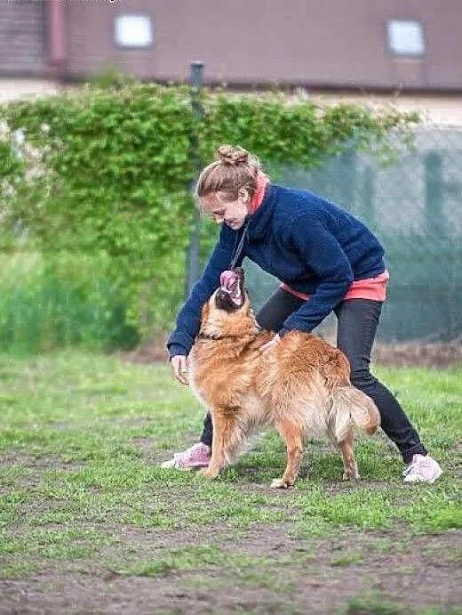 Nie lubisz nudy, jesteś aktywny poznaj Bursztyna,