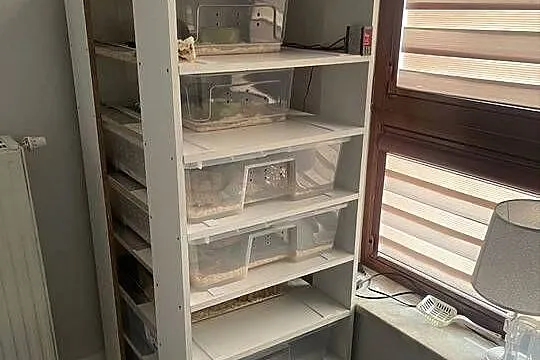 Rack System na Samle z Ikei, Mazowieckie, Warszawa