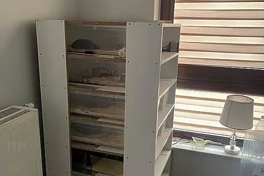 Rack System na Samle z Ikei, Mazowieckie, Warszawa
