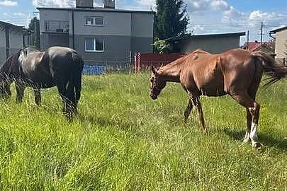 PILNA SPRZEDAŻ !!!!! ATRAKCYJNA CENA, Śląskie, Knurów
