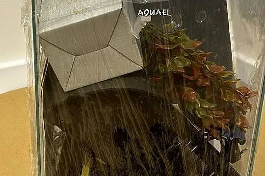 Akwarium Aquael kostka 30 zestaw akcesoria, Lubelskie, Lublin