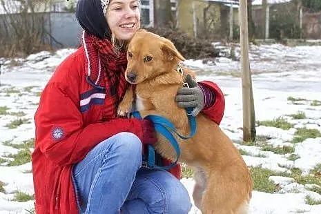 RYDZ - najlepszy okaz w puli - do Ciebie się przyt