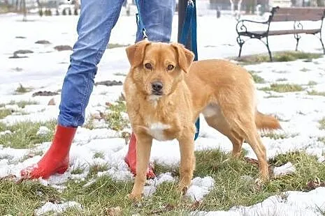 RYDZ - najlepszy okaz w puli - do Ciebie się przyt